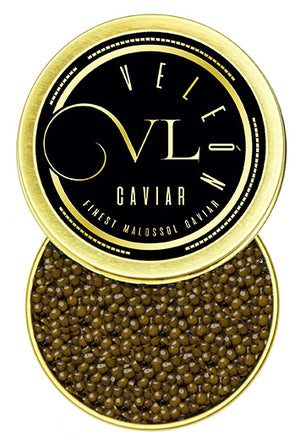 kaluga caviar hybrid