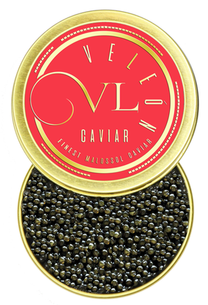 white sturgeon caviar