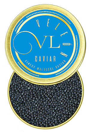 siberian sturgeon caviar