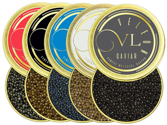 sturgeon caviar